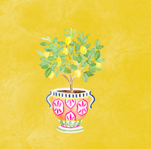 Load image into Gallery viewer, Hand drawn Mediterranean Plant Pots  linen napkins created especially for Design Anarchy - 1 item with a minimum order of 20 pieces -  Pre order now